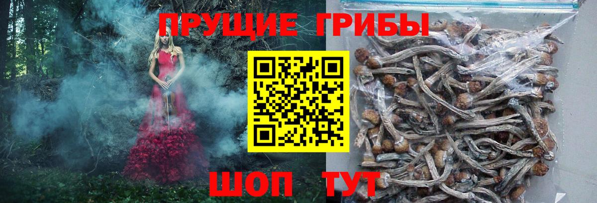 Галлюциногенные грибы мицелий  Вход с VPN  Электрогорск 