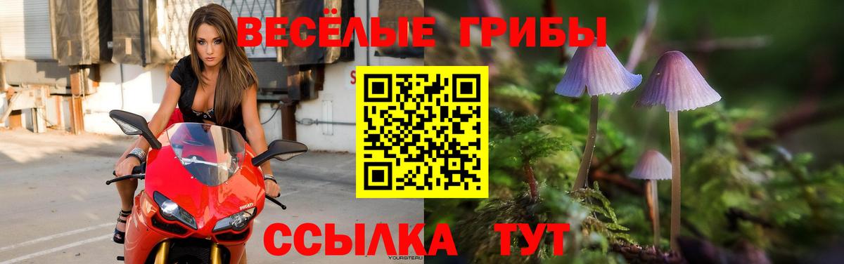 Галлюциногенные грибы Magic Shrooms Электрогорск